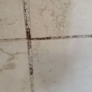 Bathroom tile