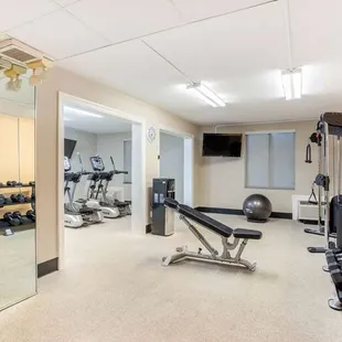 Health club  fitness center  gym
