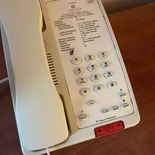Food on the phone