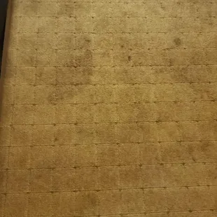 Stained carpet in room