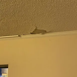 Room ceiling