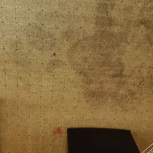 Carpet in room