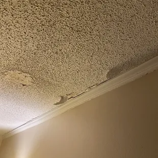 Room&apos;s ceiling