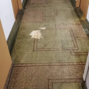 Hall carpet
