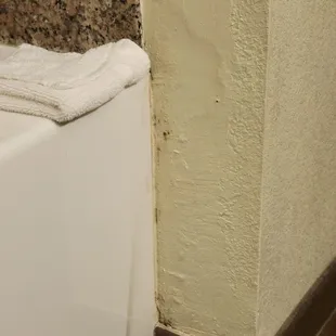 Water damage and mold on bathroom wall.