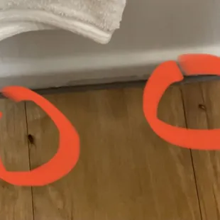 Bugs on bathroom floor