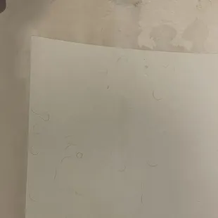 Hair in the tub, bathtub chipping,they placed a paper mat over the area but you can clearly see how disgusting it is!