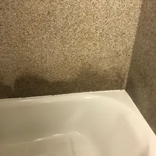 Mold in shower.