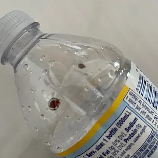 These are bed bugs I found on my bed crawling and trapped in a bottle