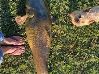 Last Chance RV Ranch