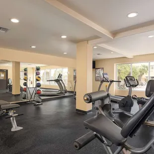 Health club  fitness center  gym