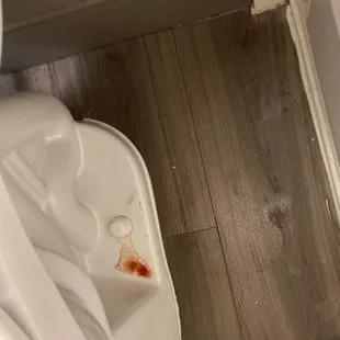 Clearly Blood. THEY call it "cleaning supply".