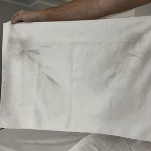 One of the dirty towels