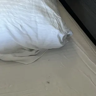 More stained sheets