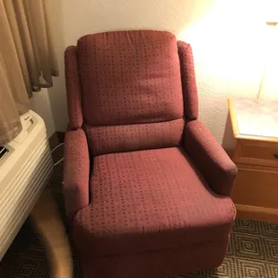 The dogs kept sniffing this chair (stains on it)