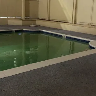 Plastic bags floating in the pool