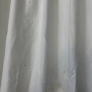 This dried up bl.....stuff was in the blinds and covers.