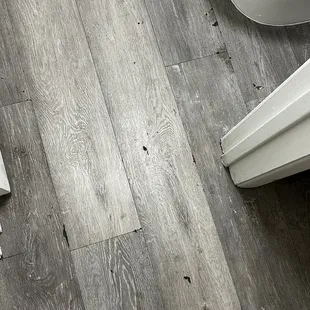 Guessing canine fecal matter. Used towels to cover it up so we didn't have to walk on it