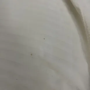 Stain on bed #1