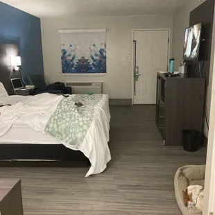 Lots of room, flooring great for pets