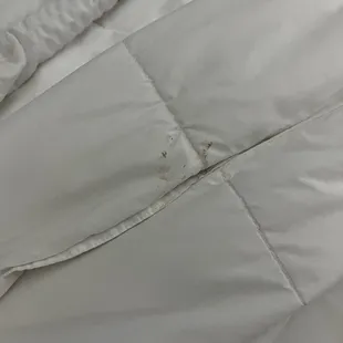 Stain on bed #4