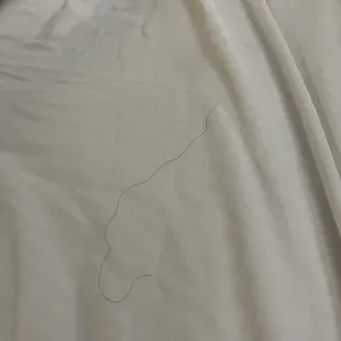 Curly had underneath comforter