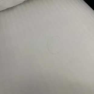 Stain hair on sheet