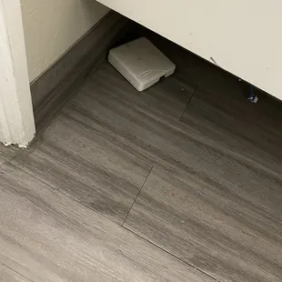 I was afraid this was a vermin trap of some kind. It's just a discarded utility cover...on the bathroom floor.