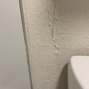 Bubbling peeling paint.