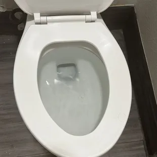 Slow to flush toilet