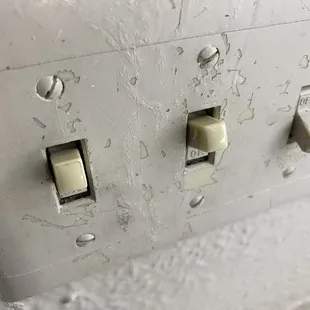 They just painted over the light switch plate.