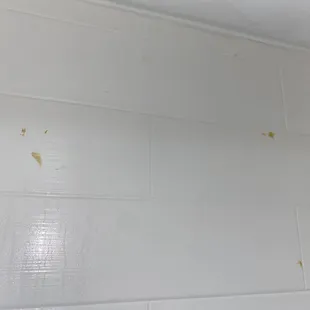 Disgusting filth on the shower walls