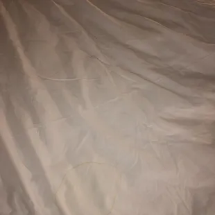 Urine stained bedding