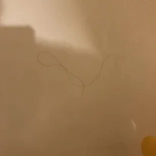 Bath covered in hair