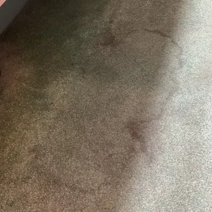 Under the leaky sink