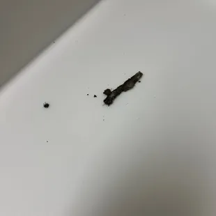 Junk fell out of the vent in bathroom