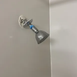 Shower head