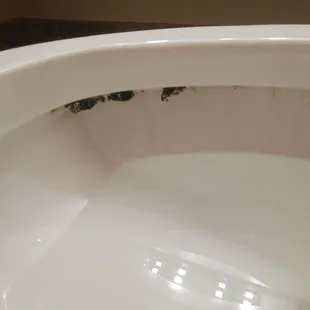 View of the toilet from my daughter's bath. Toilet was gross, bathroom was stocked with enough toilet paper for one person to pee.