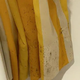 Nasty shower curtain