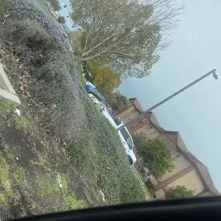 The building and parking lot