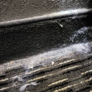 The build up of filth on carpet so thick you can scoop it.