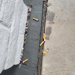 Outside one of our rooms. But everywhere.