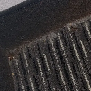 Room #112 dead roach on the left and dead bug on the right.  The room also had dead moths but didn't take a photo.