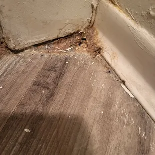 More bathroom grossness