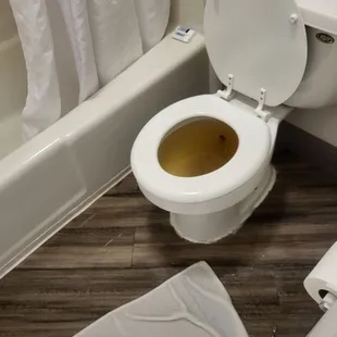 Backed up toilet