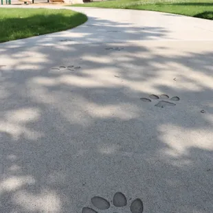 Dogs welcome! And there&apos;s even a dog water fountain.