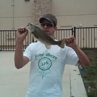 Rhett H.