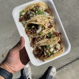 Mini Taco (TikTok: @justandyvu)
