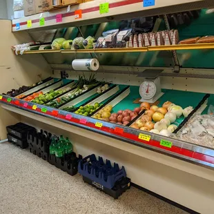 These veggies seriously looked so good and fresh.