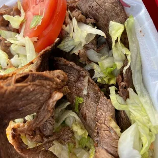 Two huge slices of carne asada